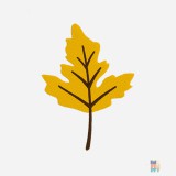 Lightweight Shorts Nature Embroidery Fruit of the Loom