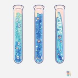 Women SoftShell Blue Potions Result