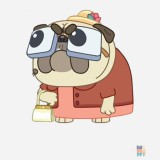 Jacheta Varsity Unisex Grandma Dog Just Hoods